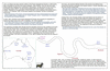 sto156 fisgard_thumb.gif